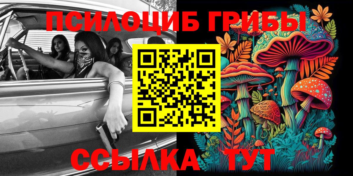Александров  Псилоцибиновые грибы MAGIC MUSHROOMS  Галлюциногенные грибы мухоморы  Вход с VPN 