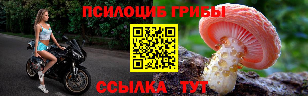 Псилоцибиновые грибы Psilocybe Александров